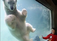 /album/animais/a06-jpg/